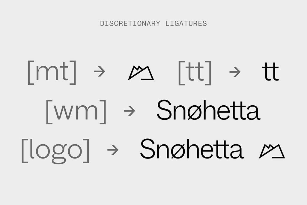 Dinamo Custom Typefaces Snohetta Dove Social Discretionary Ligatures