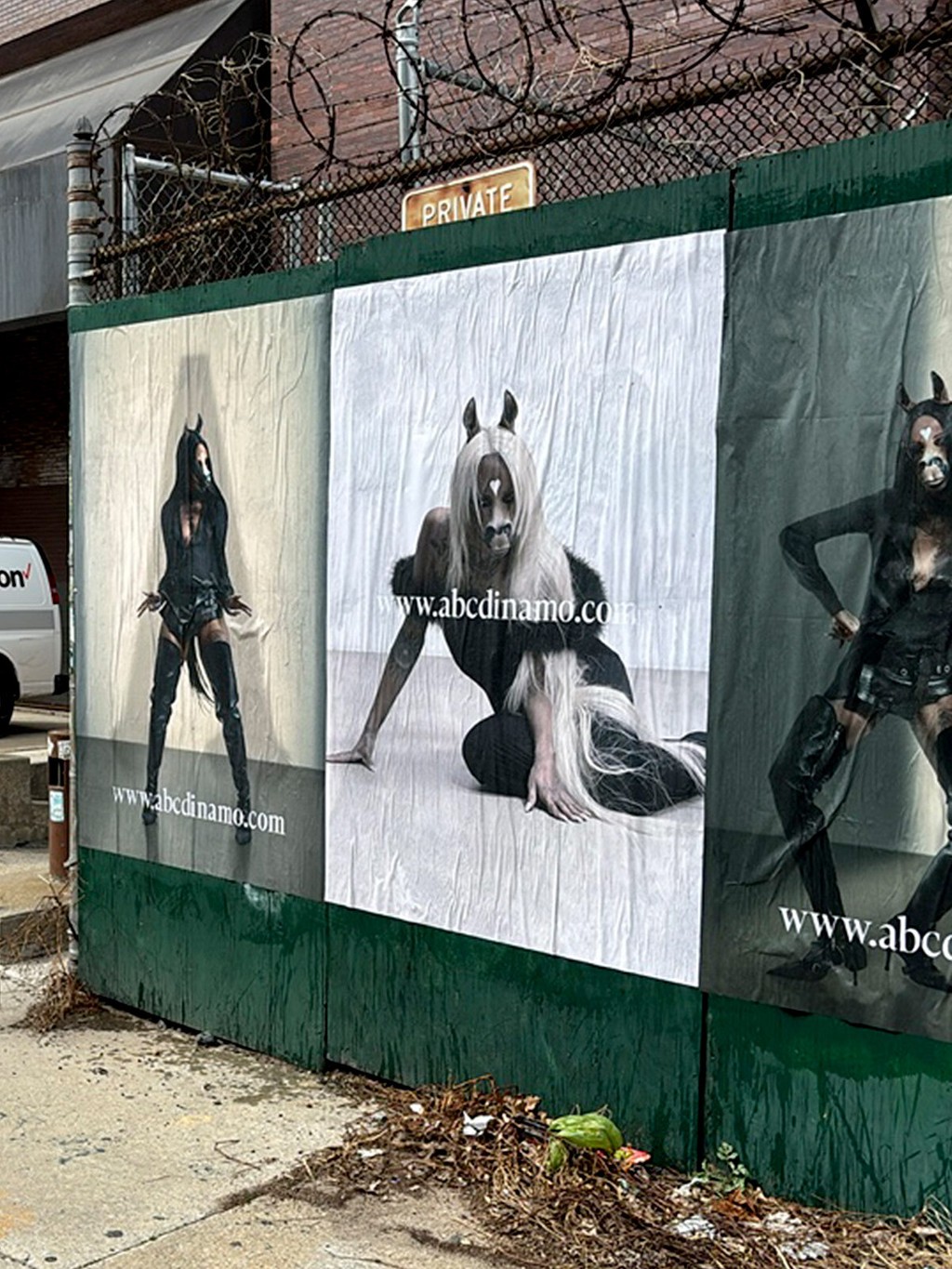 Dinamo Arizona horsegiir L New York