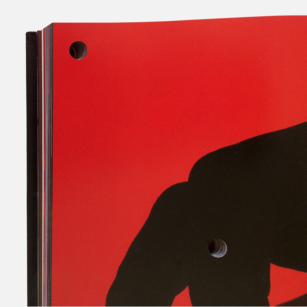 Dinamo Camera C07 Alyar