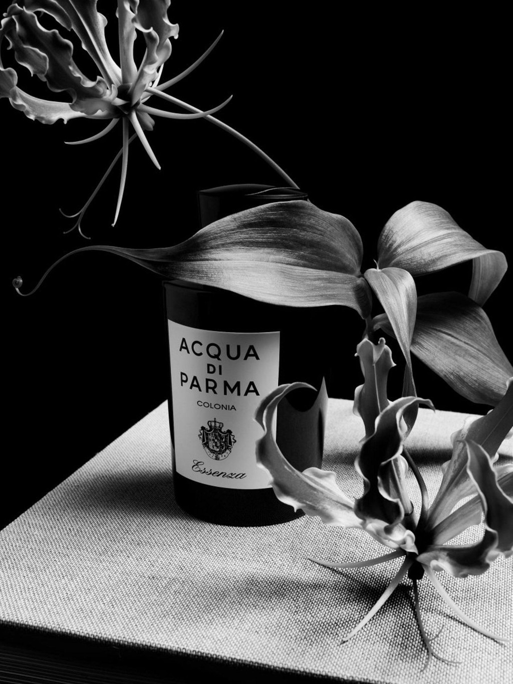 Acqua di Parma — Dinamo Typefaces