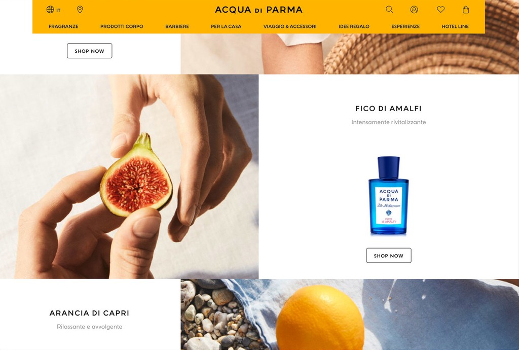 Acqua di Parma — Dinamo Typefaces