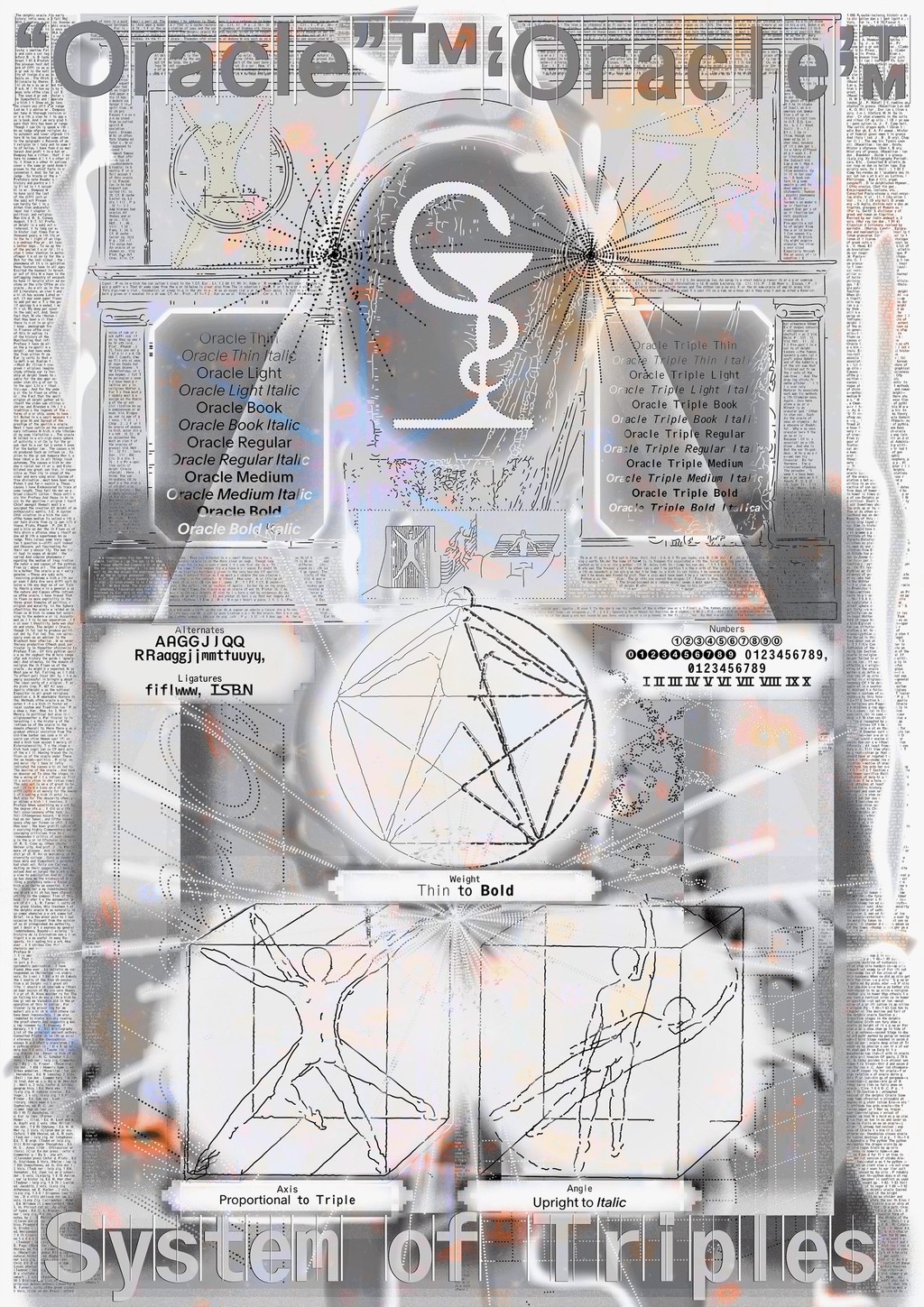 Dinamo Oracle Campaign web 2