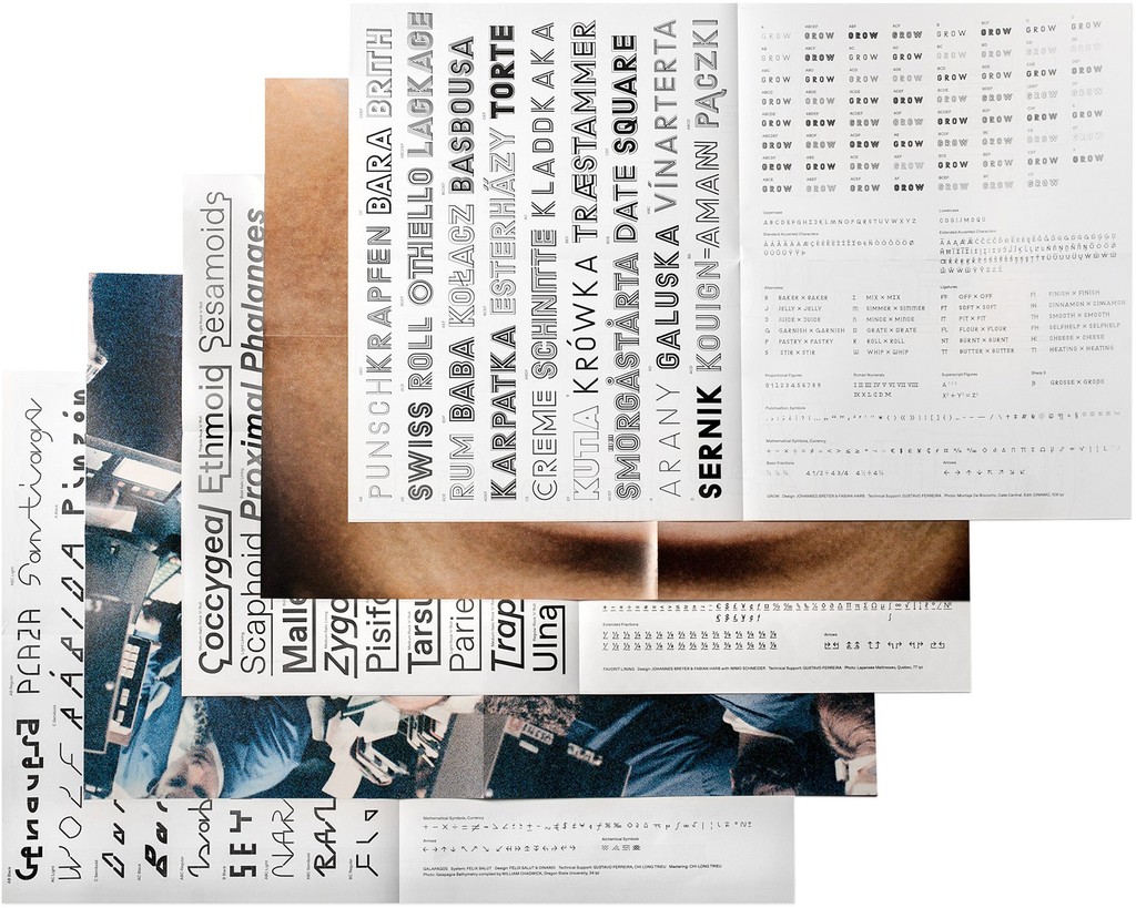 Dinamo Specimen Waterfall