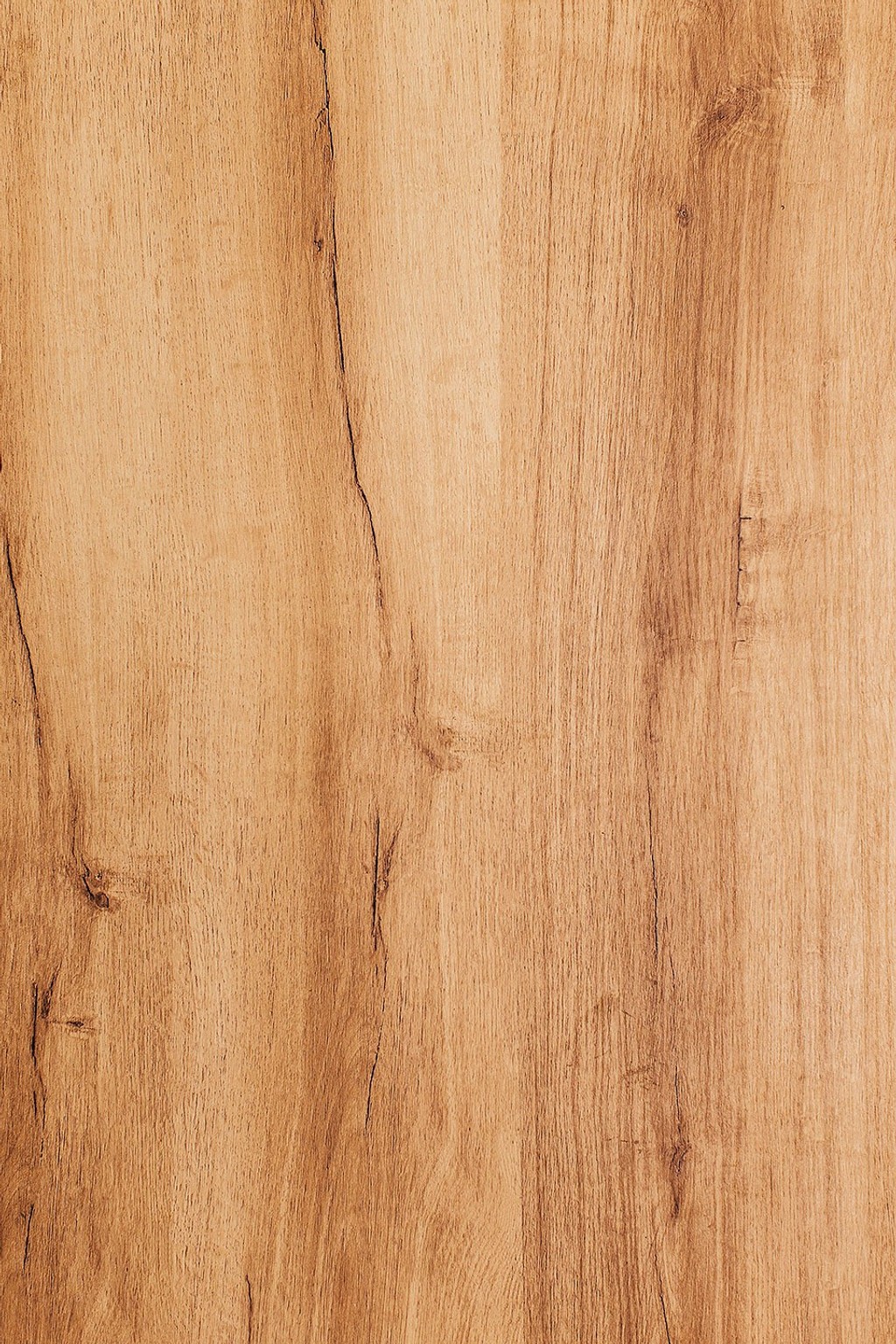 Dinamo Student Pack Wood Texture