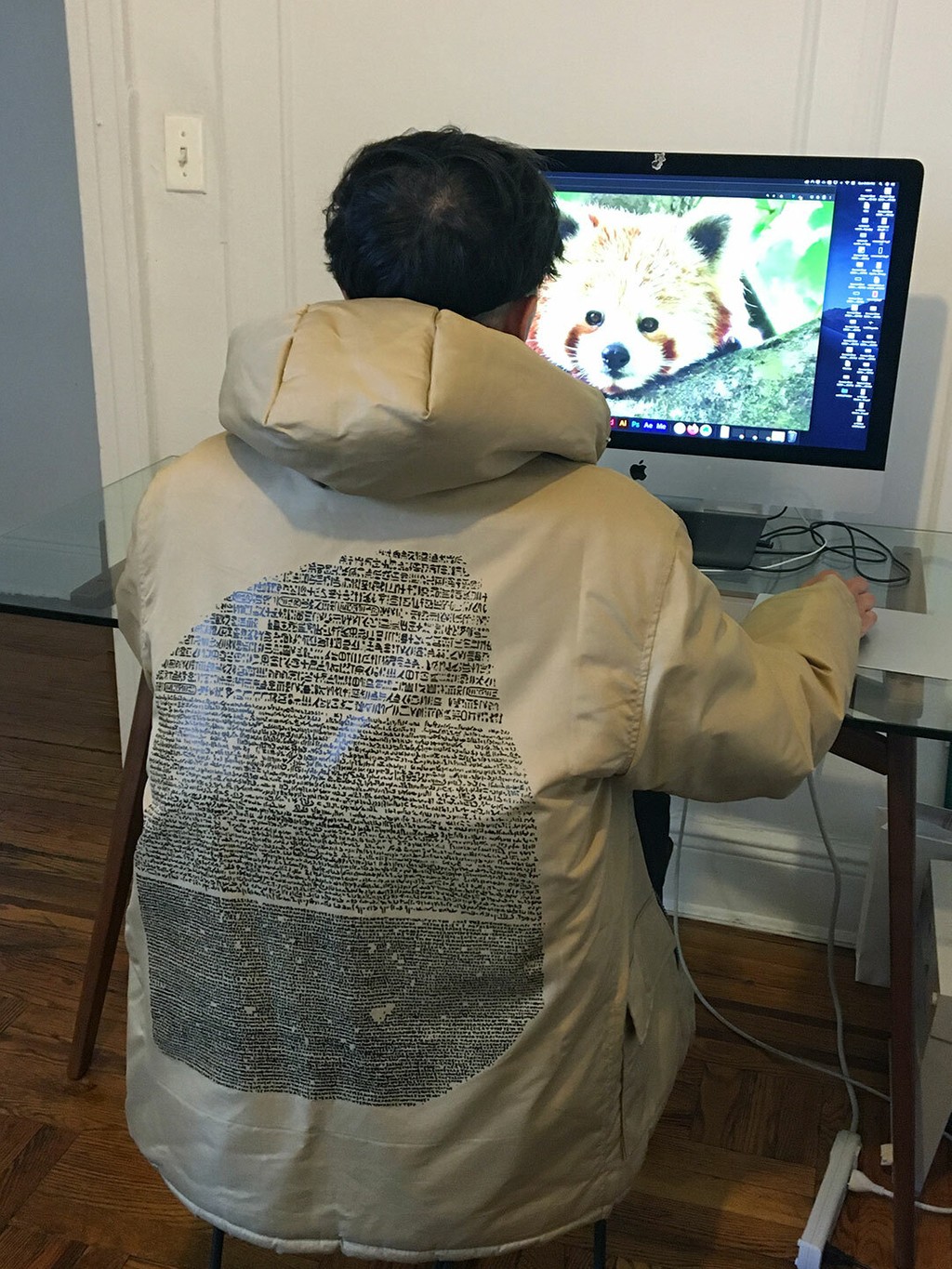 Dinamo Rosetta Stone Bomber 05 Computer