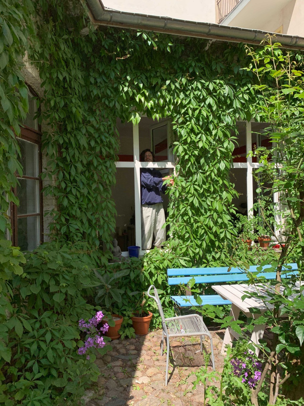 Dinamo Editions Arizona hanli Elias Hanzer Web 2024 2