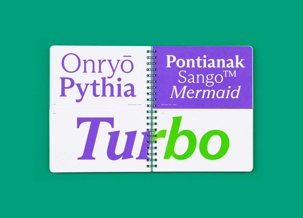 Dinamo Editions Arizona Type Specimen Elias Hanzer Web 2024 16