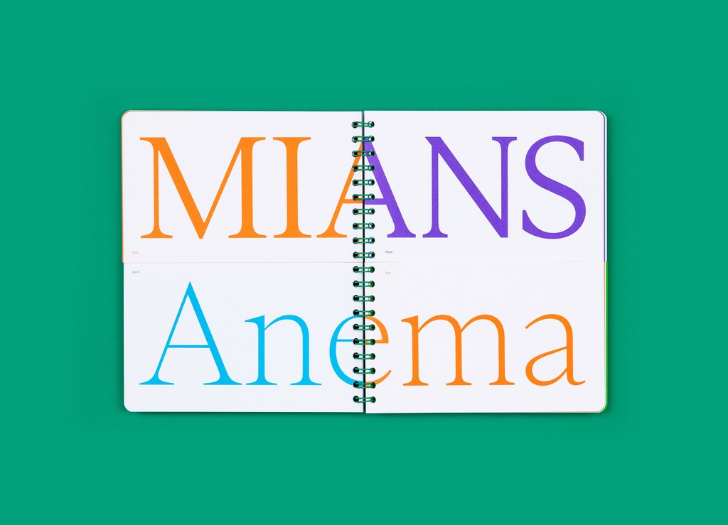 Dinamo Editions Arizona Type Specimen Elias Hanzer Web 2024 4