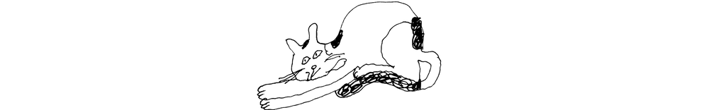 Dinamo Typeface Stefan Cat Web