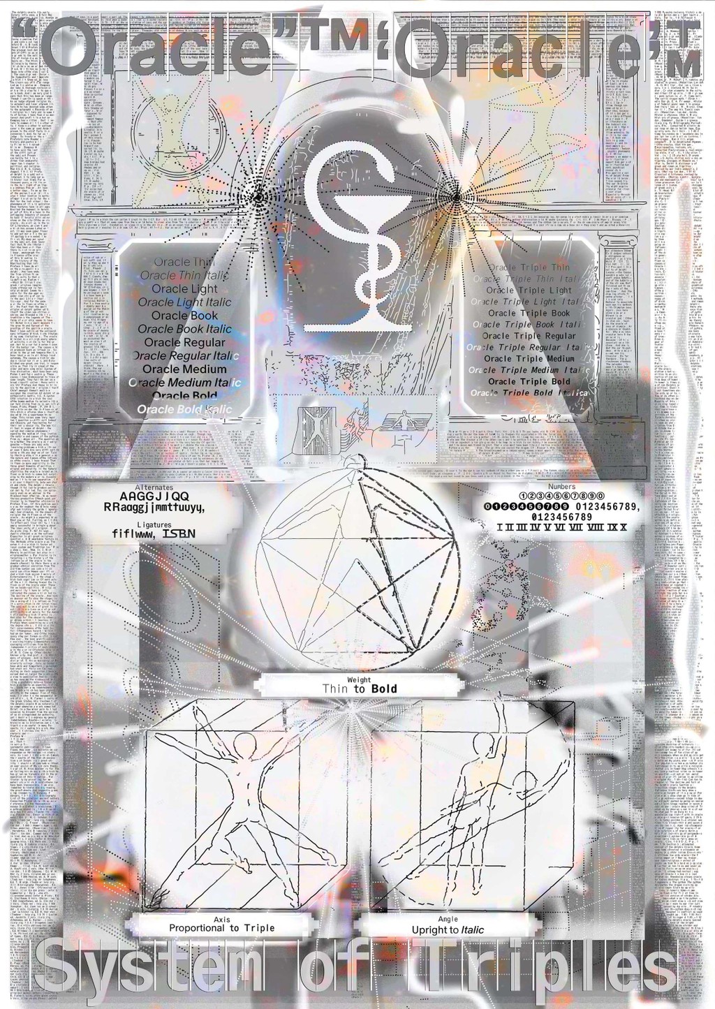 Dinamo Oracle Campaign web 2