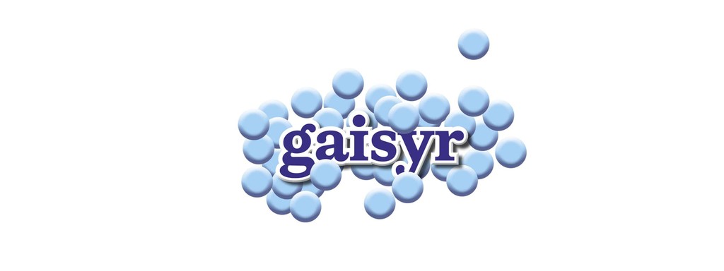 Dinamo Editions Gaisyr Web Res Landscape 2024 Closeup Lable 3 3