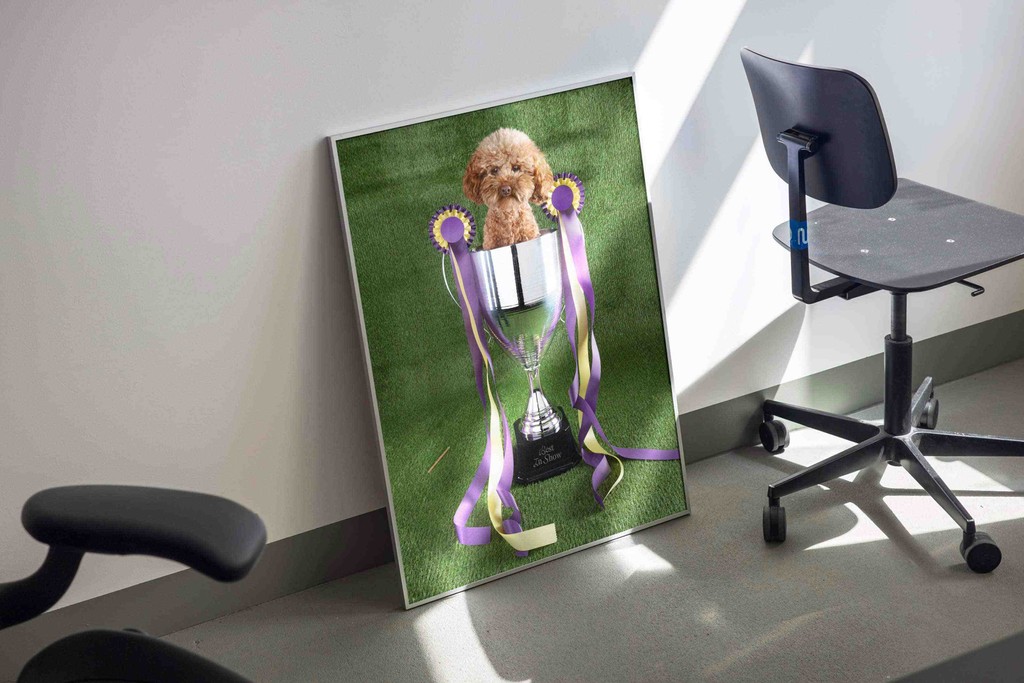 Dinamo Gramercy Campaign Poster Mockup 1 Web