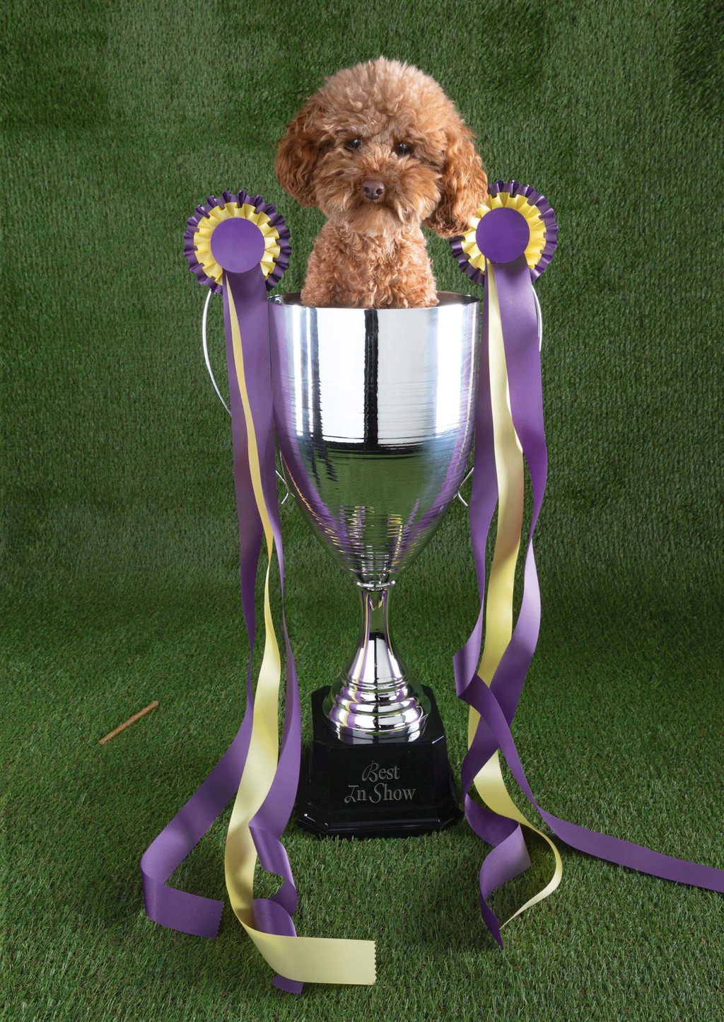 ABCDINAMO Poster Shop Sticker Gramercy