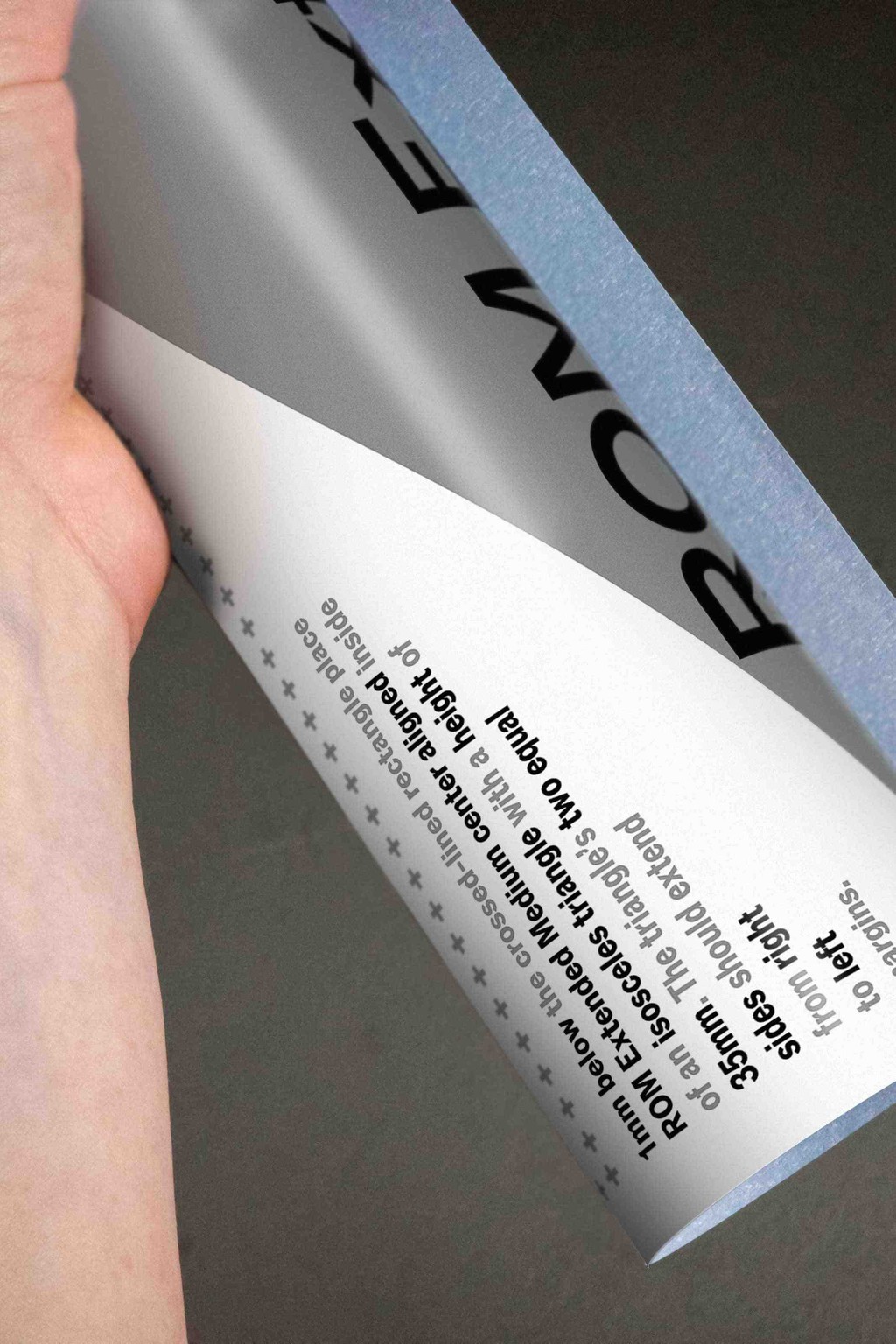 Dinamo ROM Mockup Poster 2 Portrait Campaign Title Date Recovered