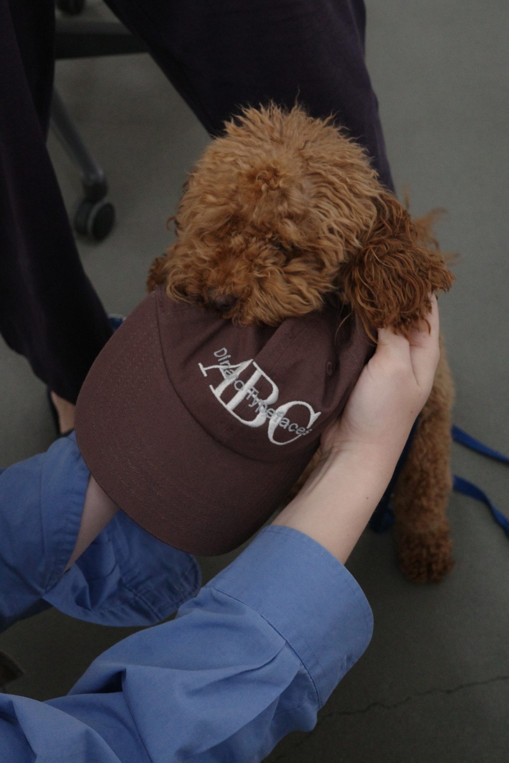 Dinamo Hardware Unlocked Mood Cap 1