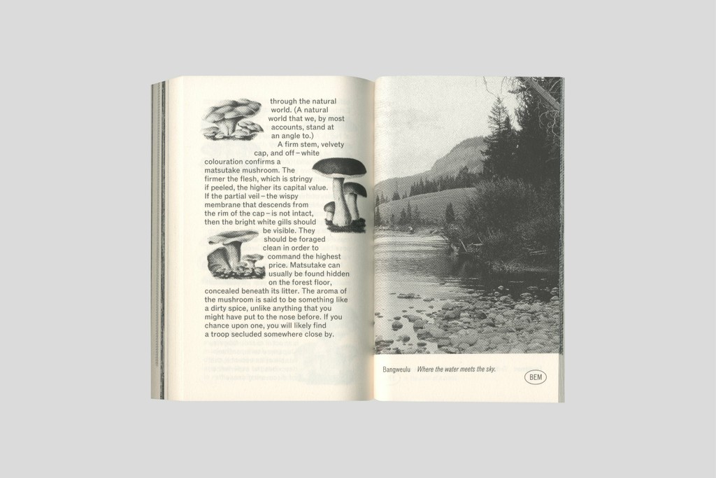 OK RM IOW Softspot Website New27 2592x