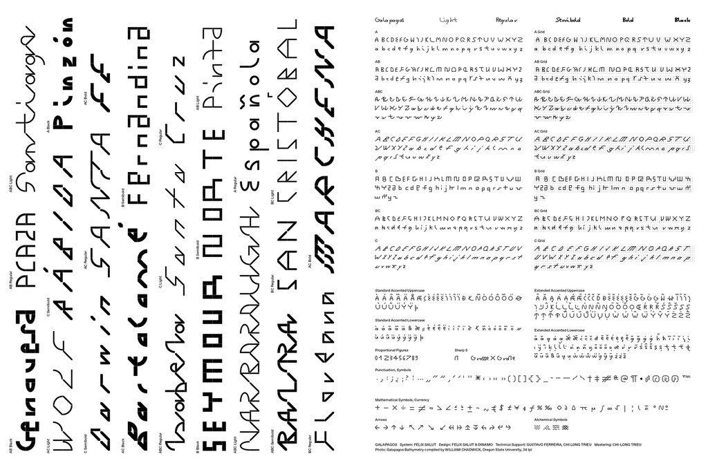 Dinamo Specimen Web13