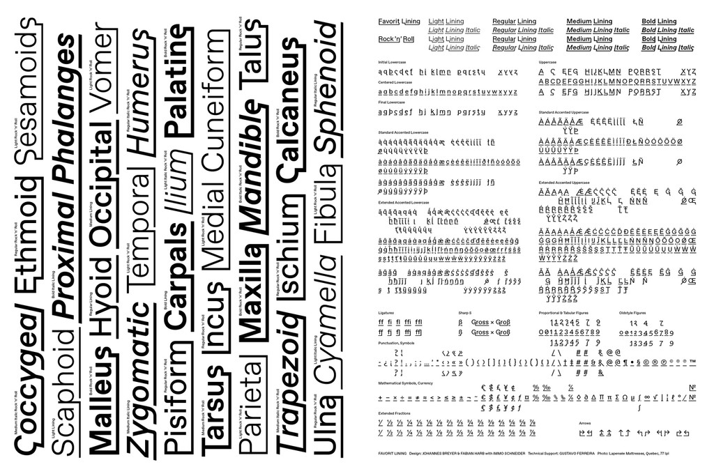 Dinamo Specimen Web3