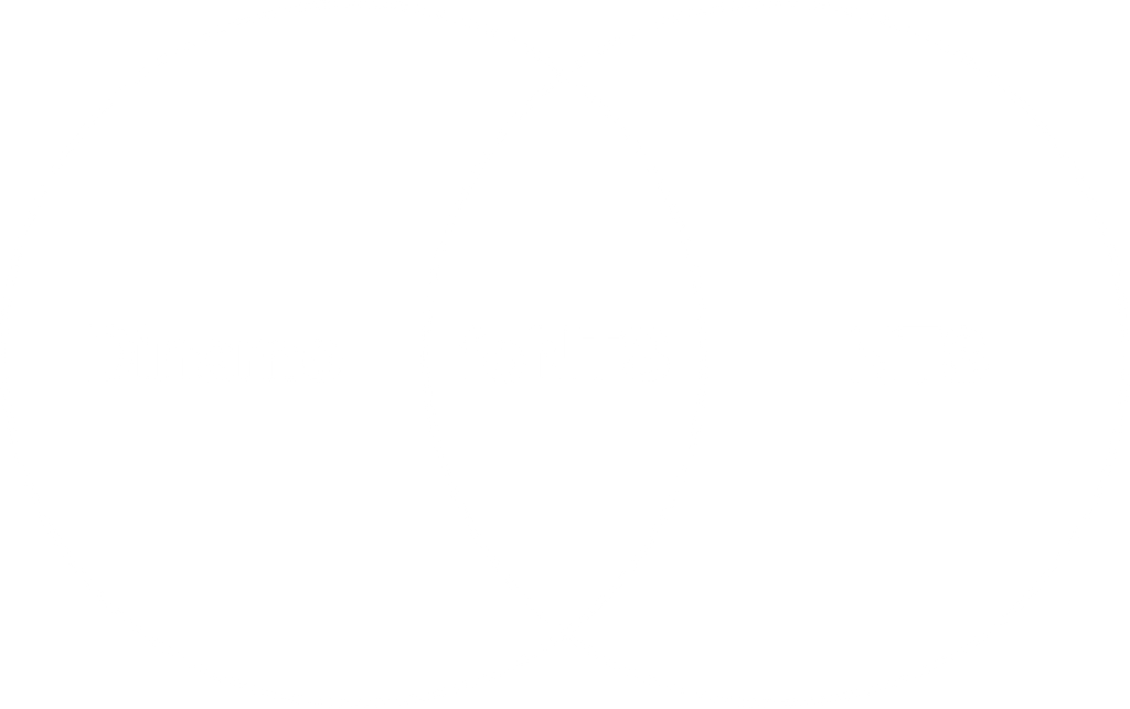 Dinamo NTS fo NTS diagram