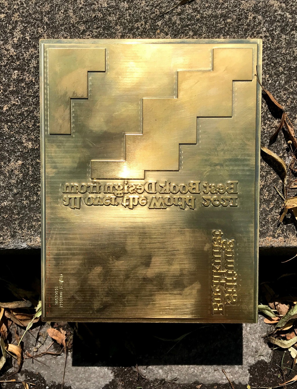 Dinamo Marist Mostbeautifulbooks 3