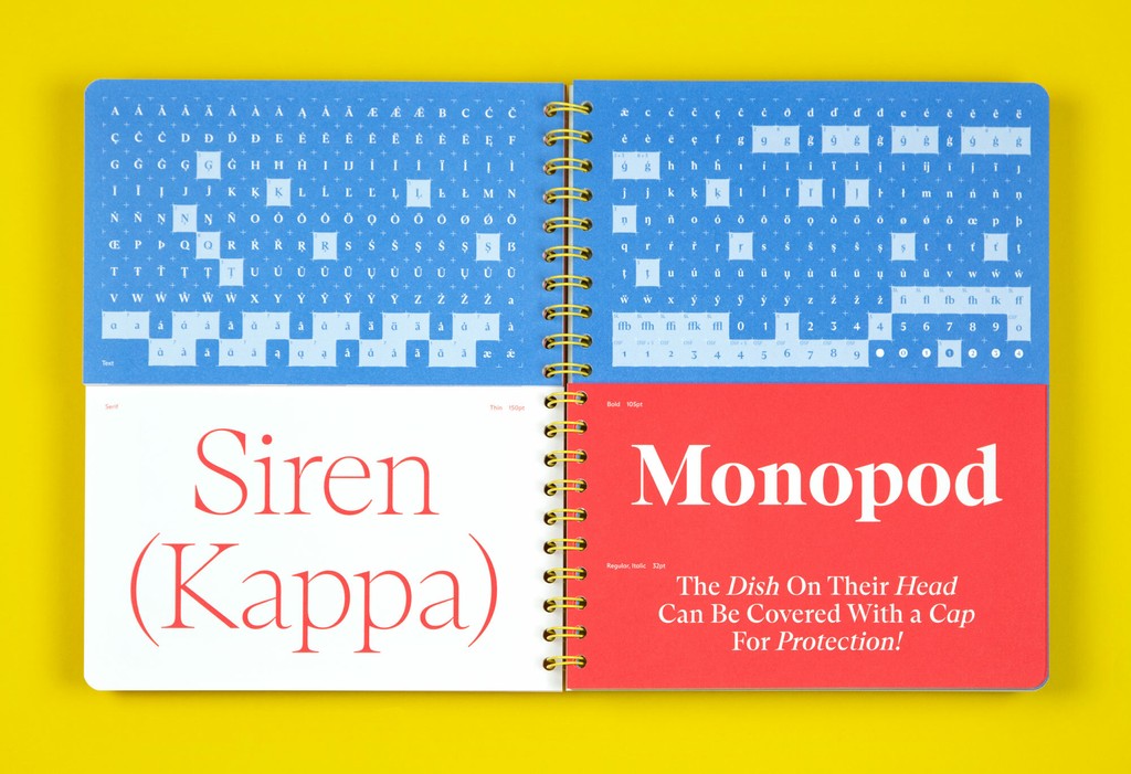 Dinamo Arizona Specimen Spreads137