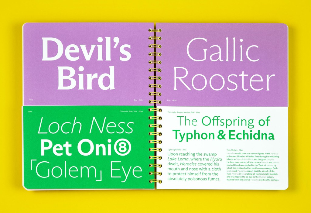 Dinamo Arizona Specimen Spreads159