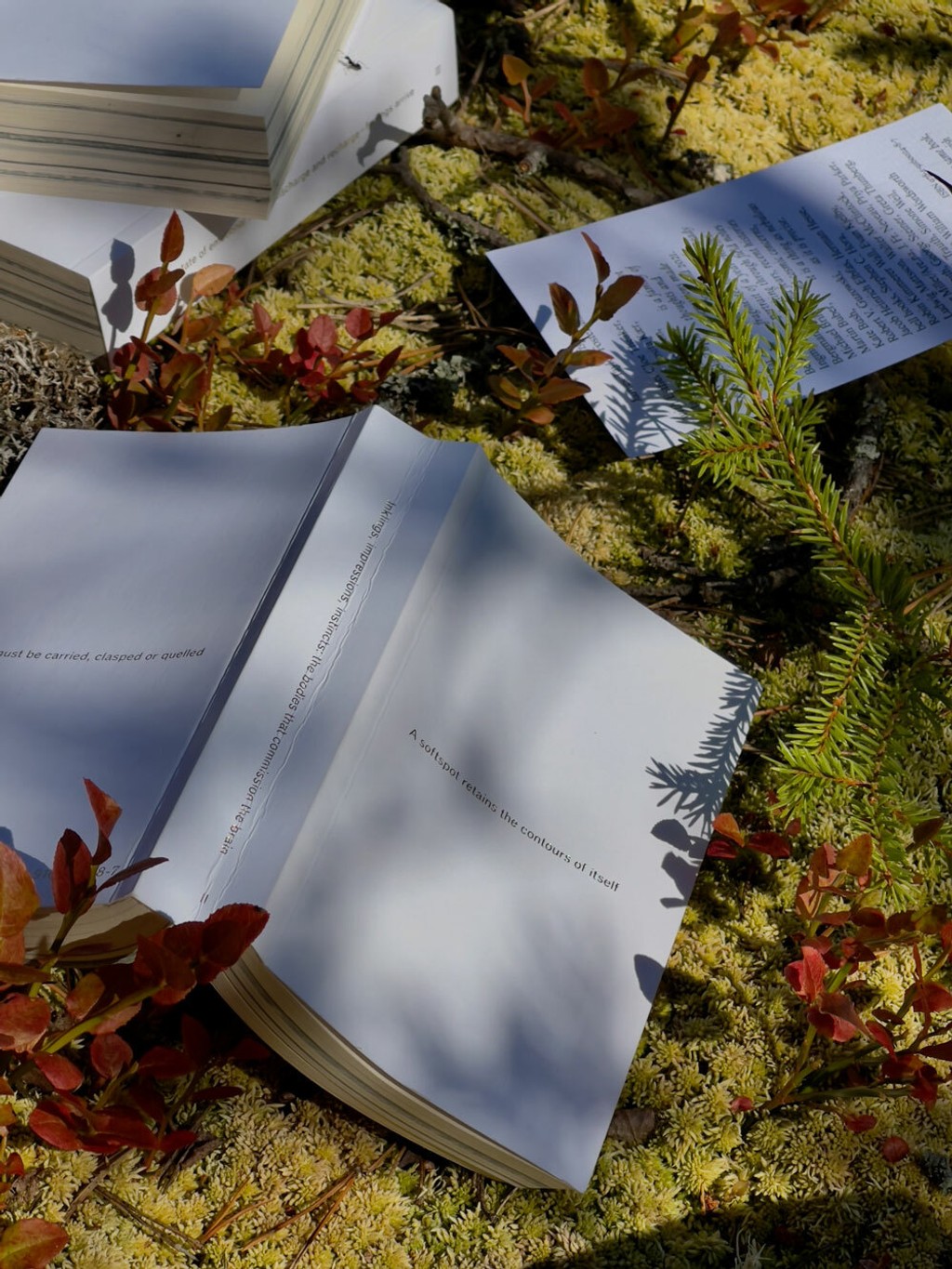 DINAMO softspot jtf OKRM 4