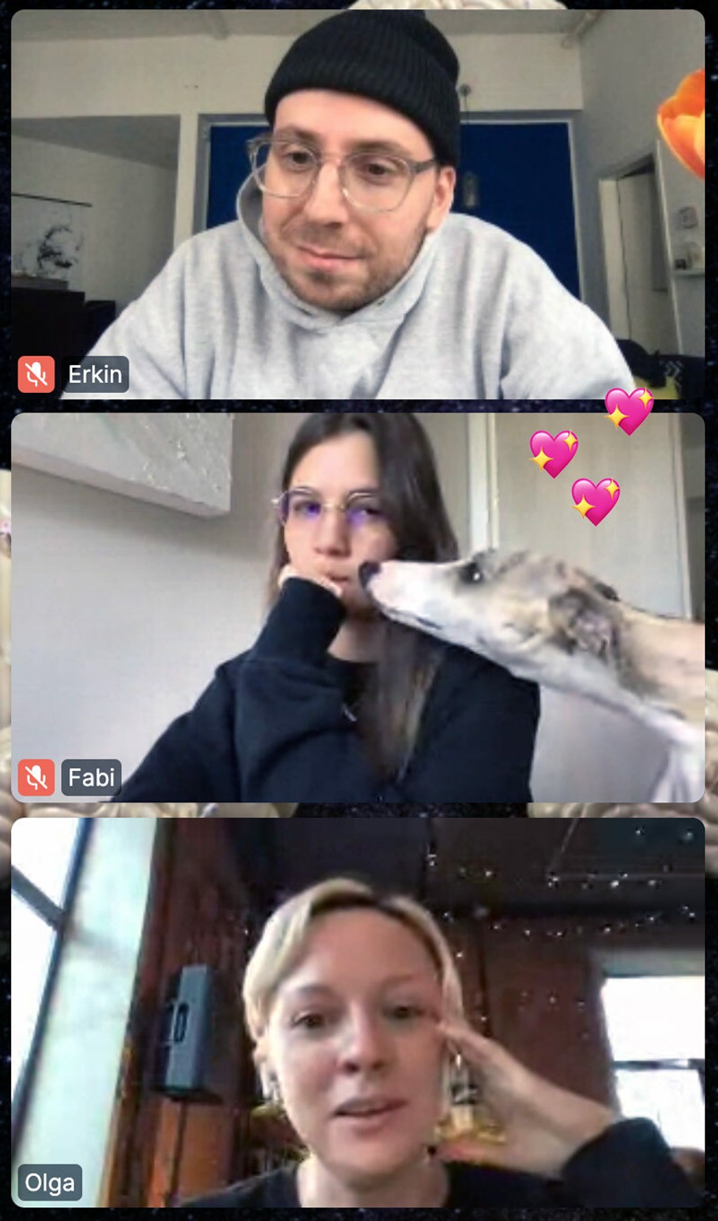 Dinamo Fabi Team Call