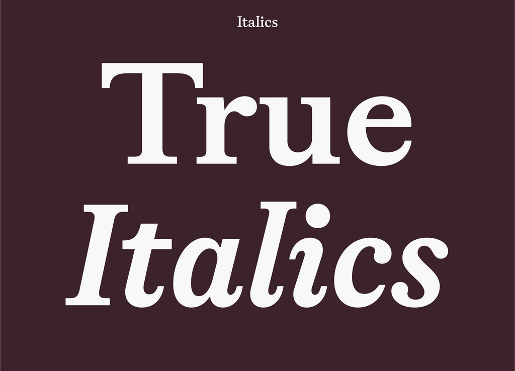 Dinamo Gaisyr True Italics 2 1
