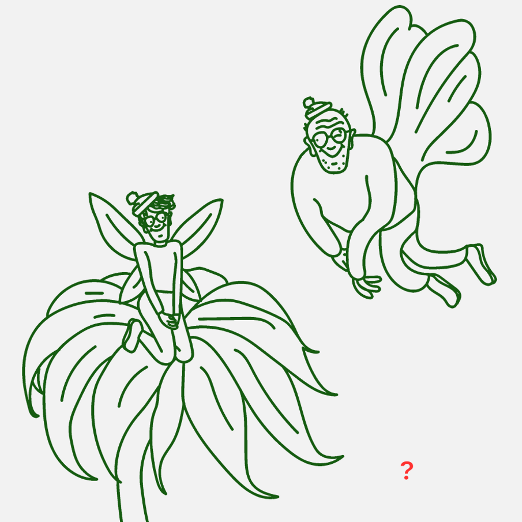 Dinamo Walter Caption Contest 3round5 grey