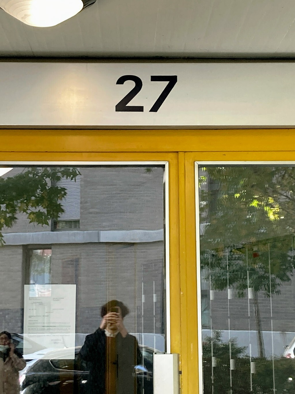 Walter In The Wild Window