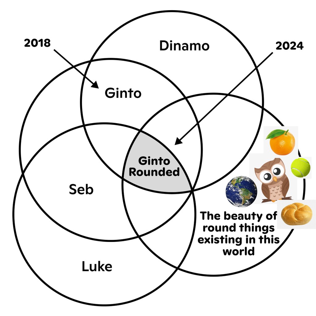 Dinamo Ginto Rounded Diagram Web