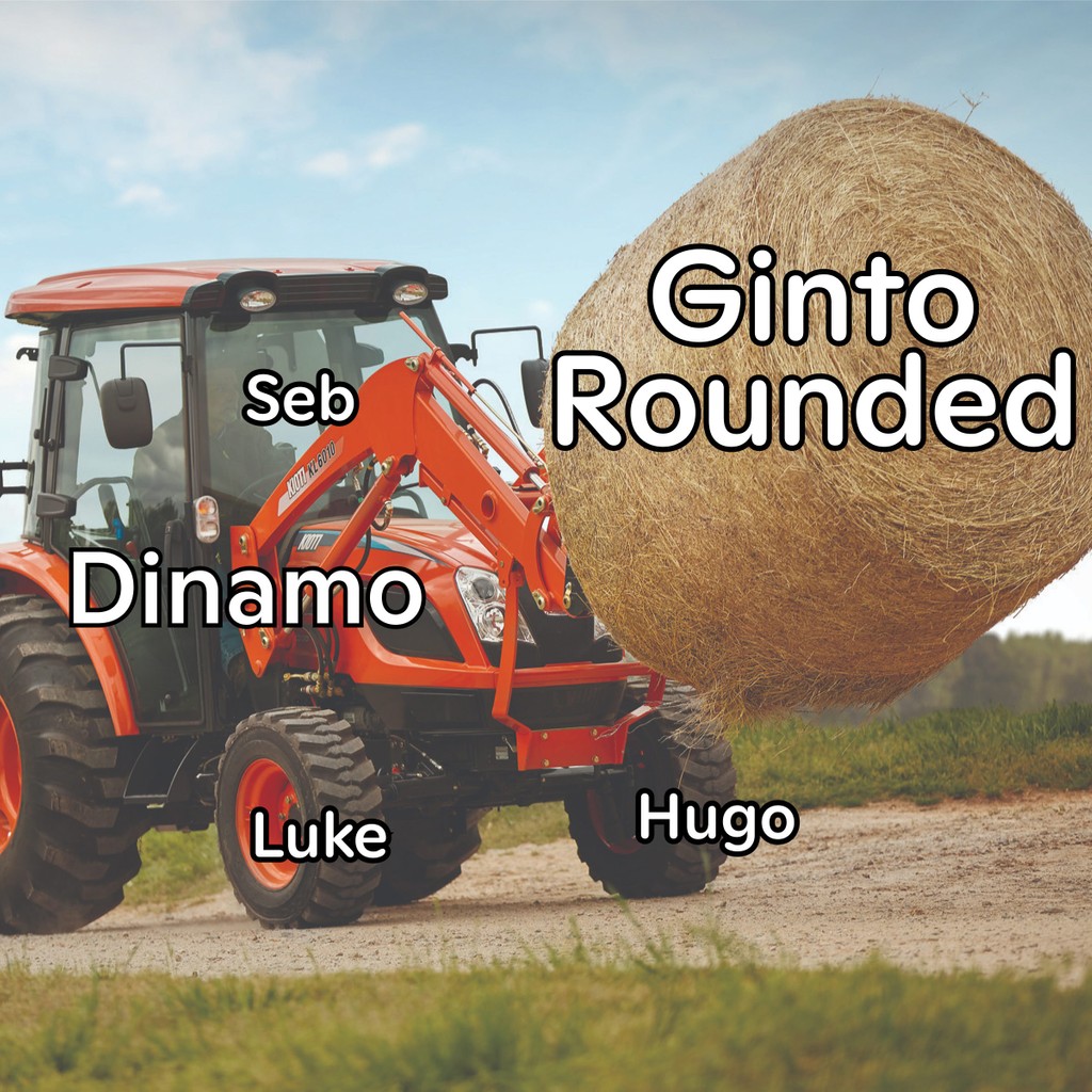 Dinamo Ginto Rounded Meme 3 Web