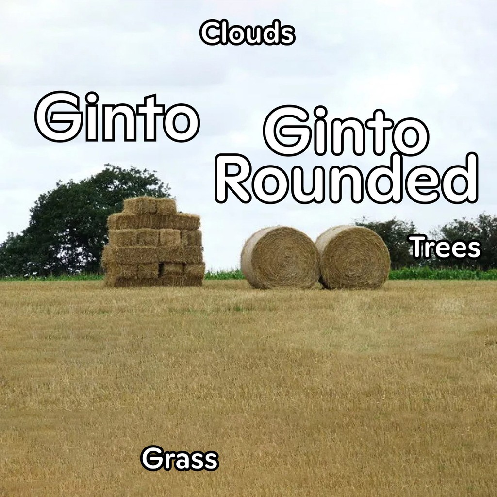 Dinamo Ginto Rounded Meme 4 Web