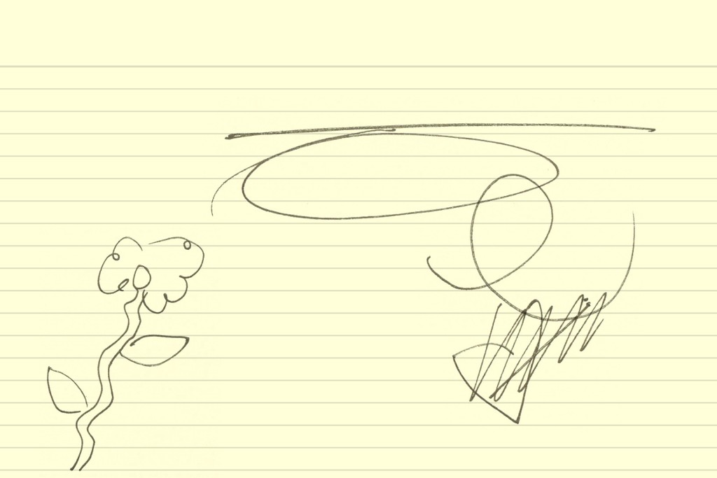 Dinamo Guest Takeover Teaser Landscape Healy