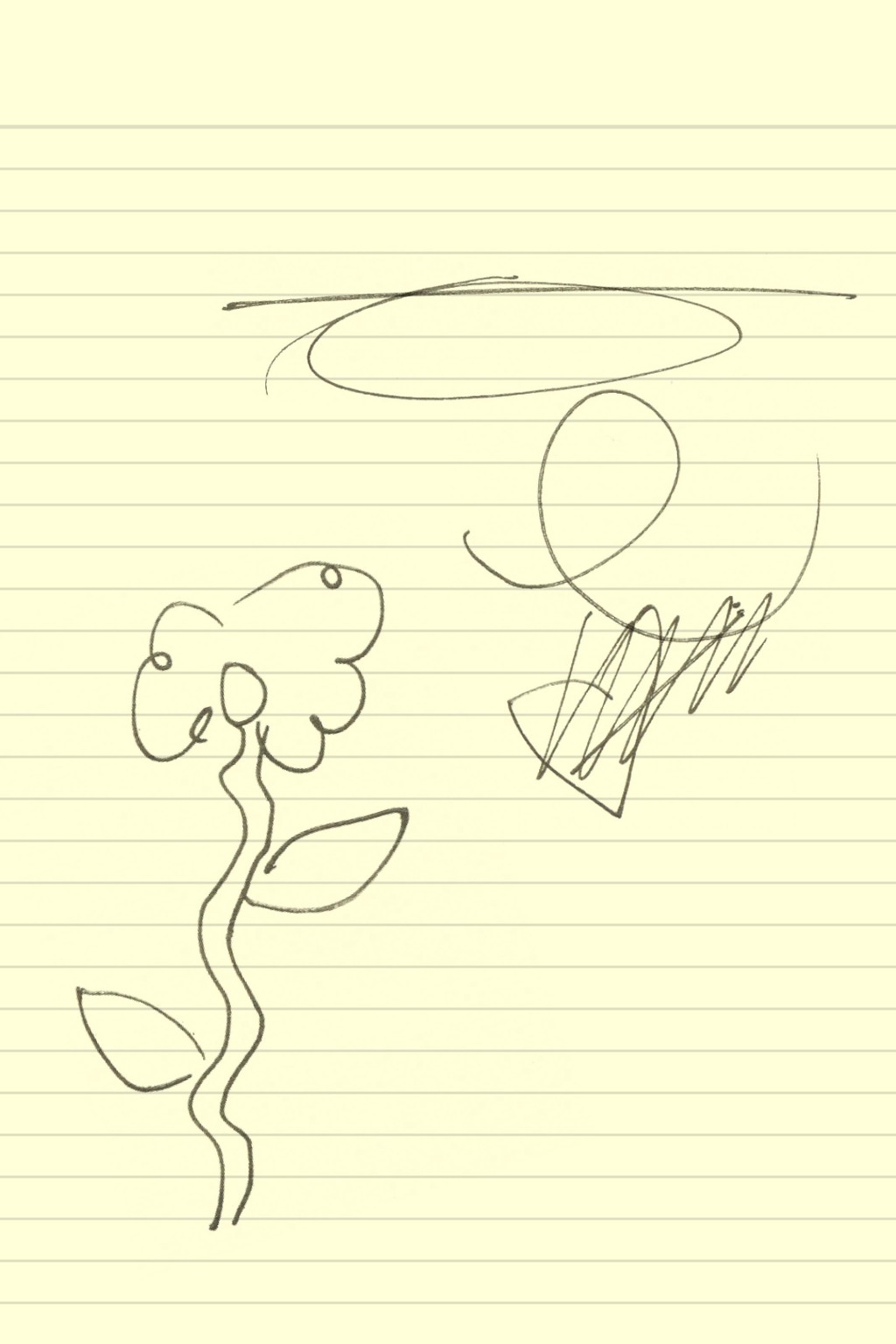 Dinamo Guest Takeover Teaser Portrait Healy