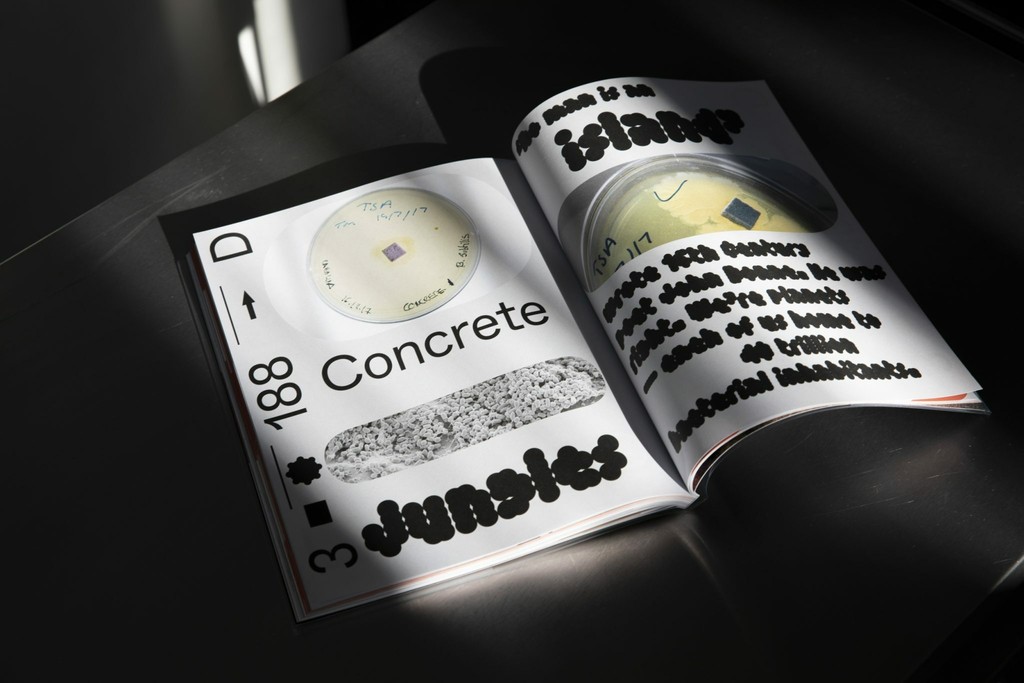 Dinamo Marfa Plasma 54 A0075 noraheinisch 2048x1366