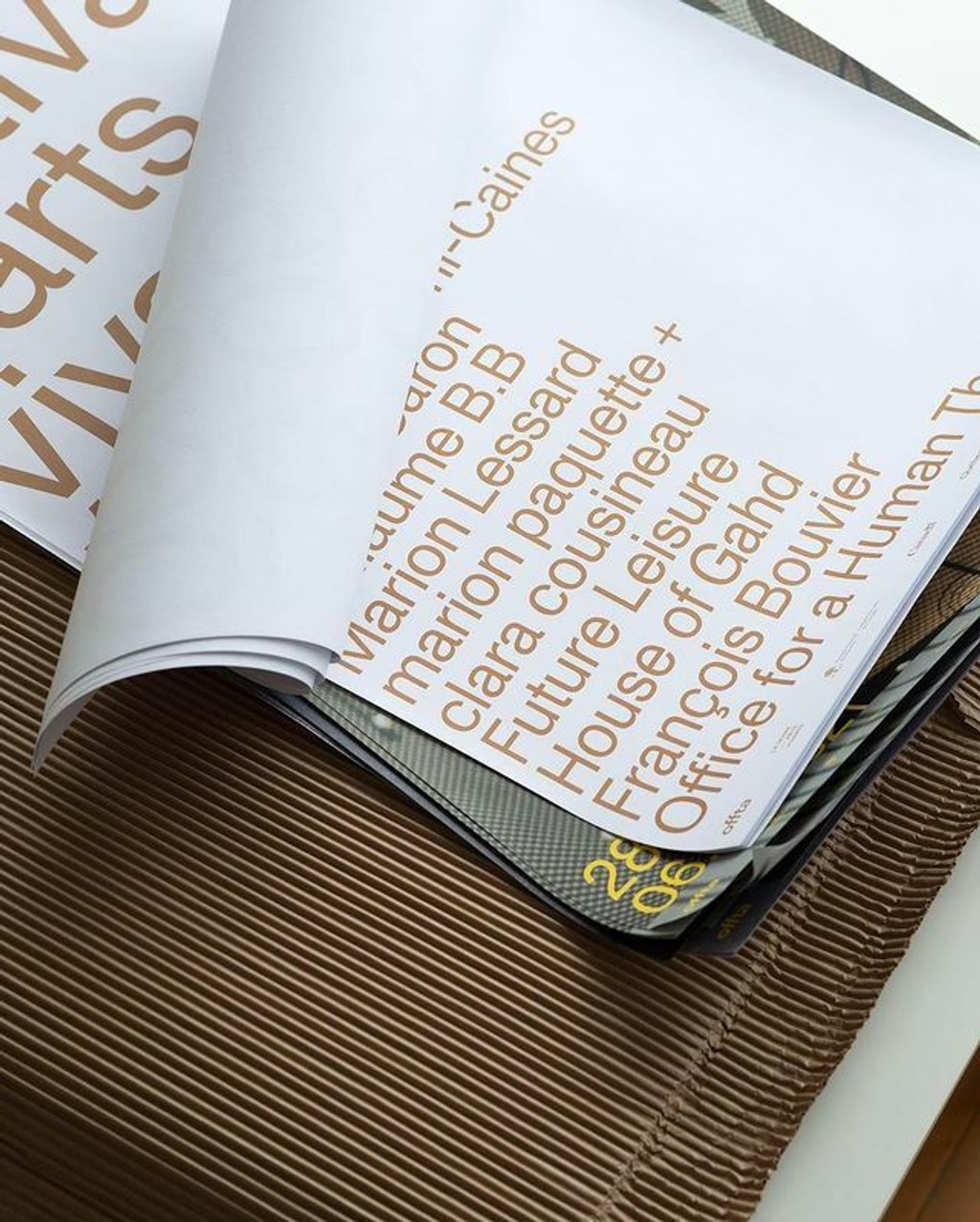 Dinamo Monument Grotesk 246695886 996673257576695 6376268367986733778 n