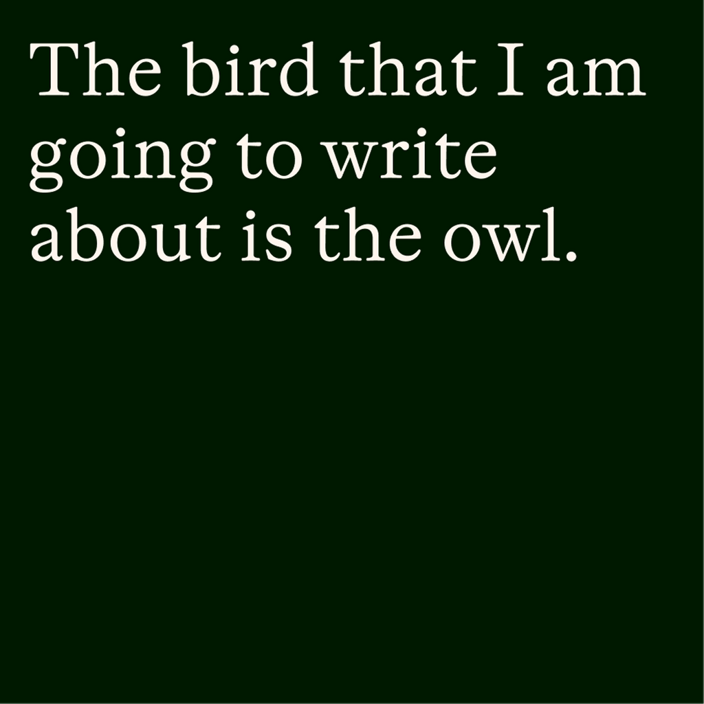 Dinamo Typefaces Otto Range Words Square