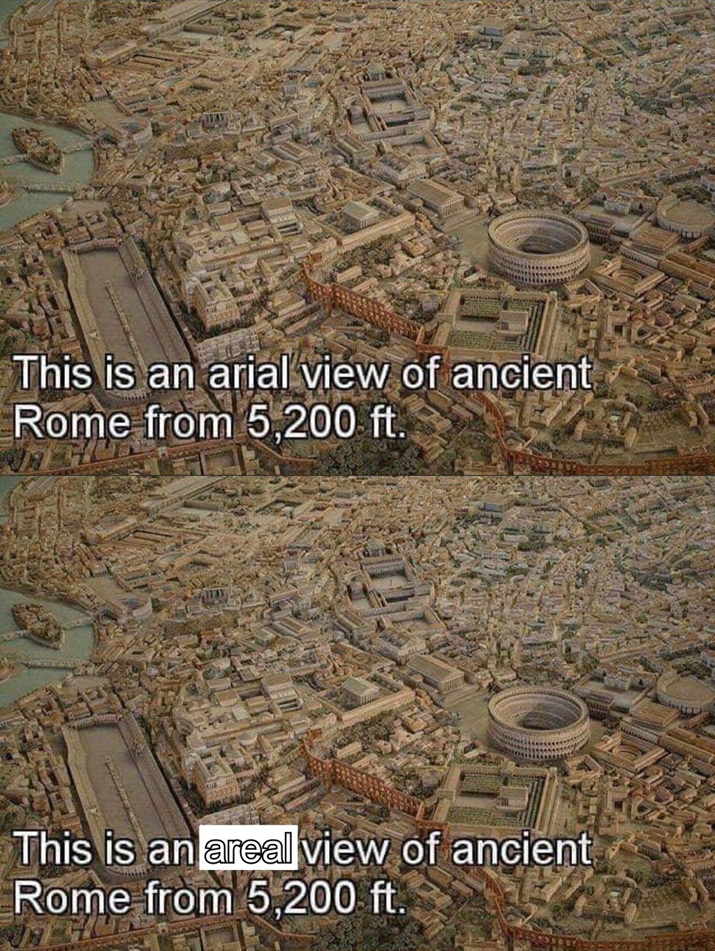 Dinamo Arena View Meme