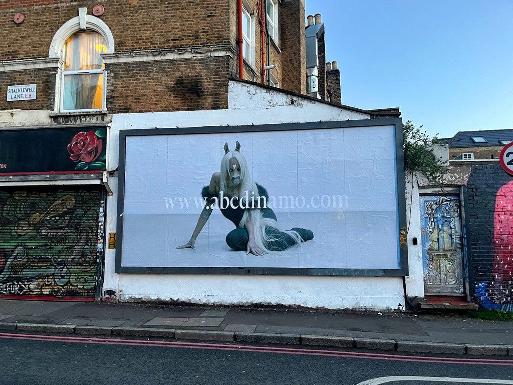 Dinamo Arizona horsegiir L London 2