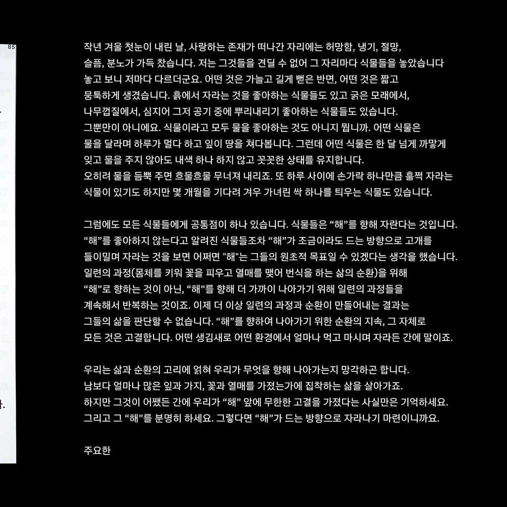 Dinamo Favorit Hangul 13