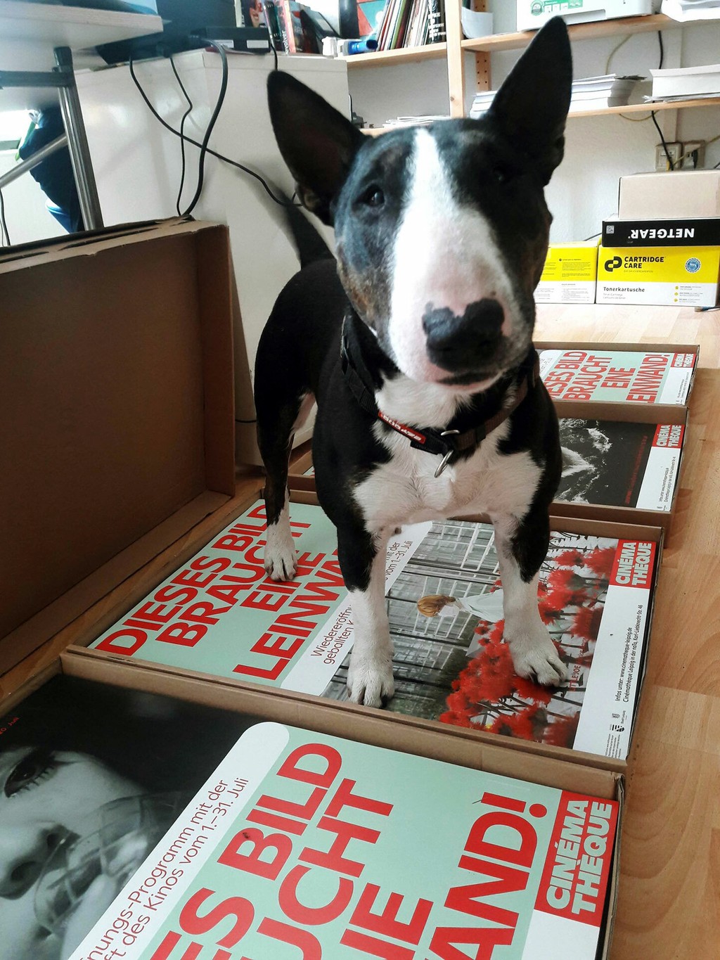 Dinamo Ginto bureau est Cinematheque plakate2