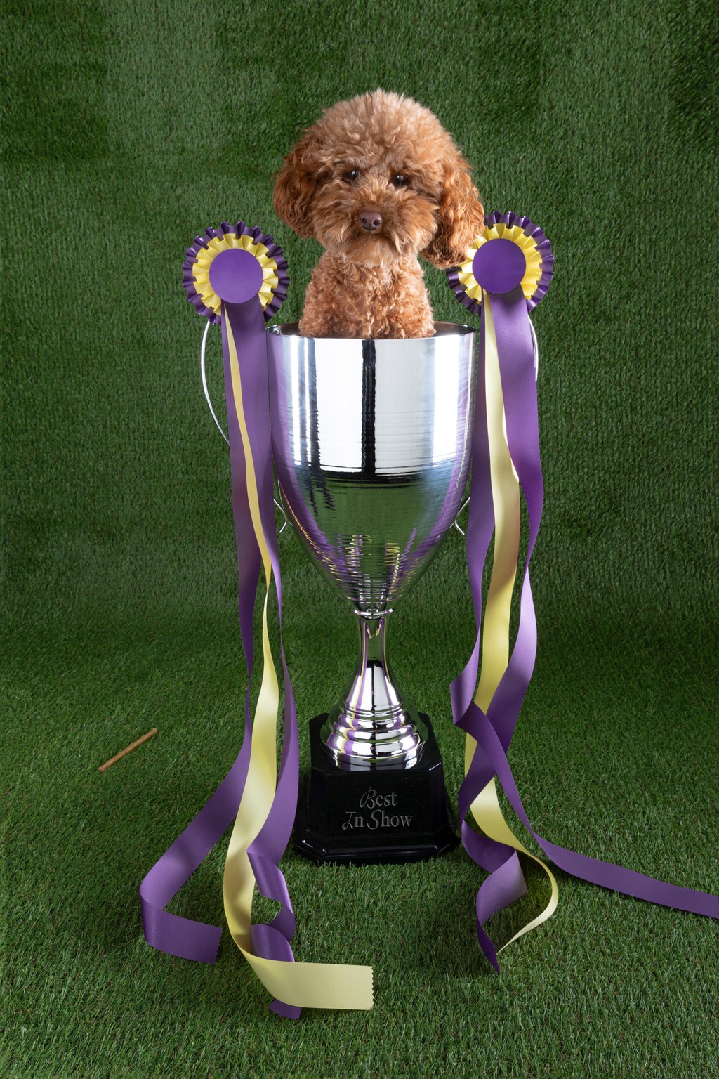 Dinamo Campaign Gramercy Michelle Mantel 2024 Web Res RZ1 A0782