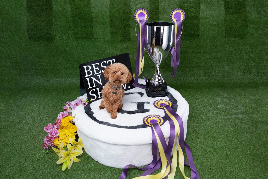 Dinamo Campaign Gramercy Michelle Mantel 2024 Web Res RZ1 A0305 v2