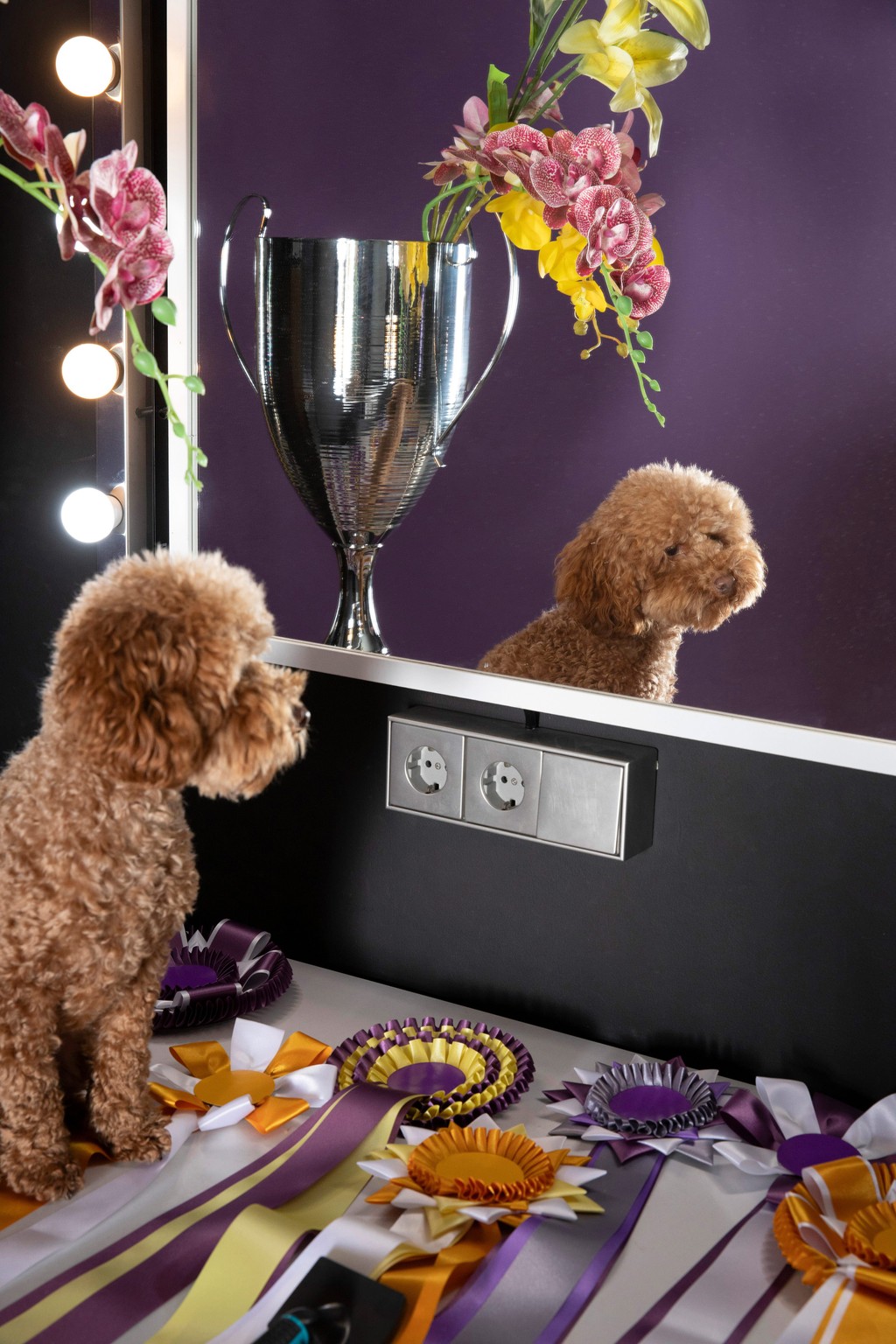 Dinamo Campaign Gramercy Michelle Mantel 2024 Web Res RZ1 A1743 v2