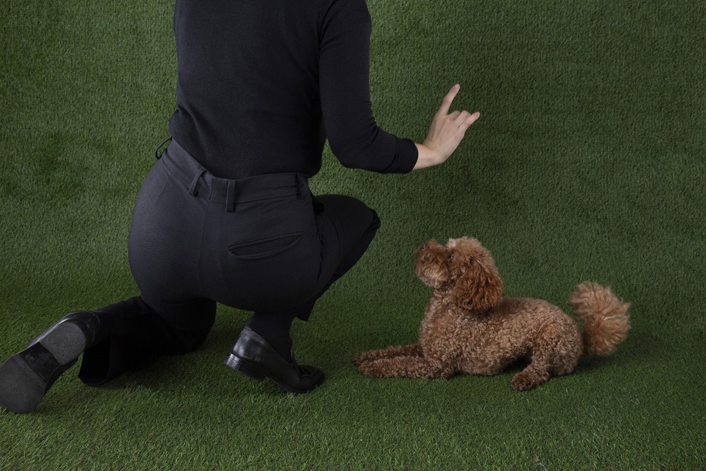 Dinamo Campaign Gramercy Michelle Mantel 2024 Web Res RZ1 A1057