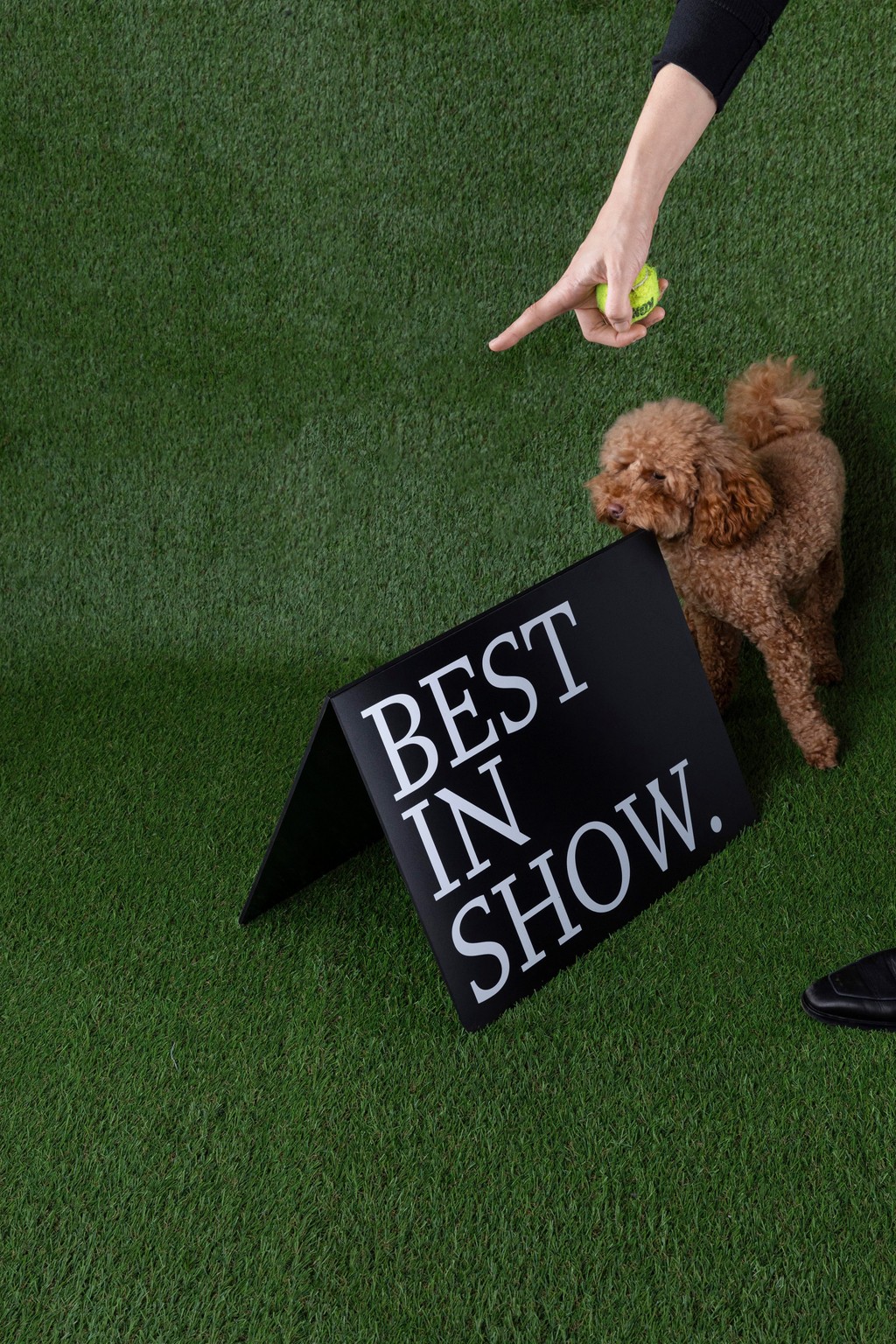 Dinamo Campaign Gramercy Michelle Mantel 2024 Web Res RZ1 A1142