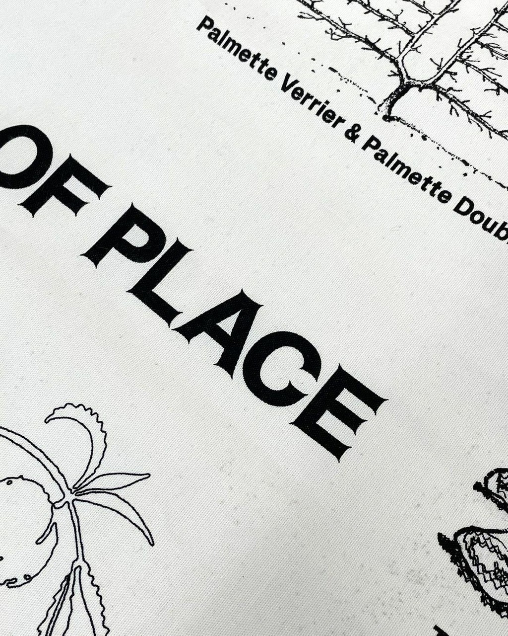 Dinamo Helveesti 245308173 245450890872460 7920789959161023380 n