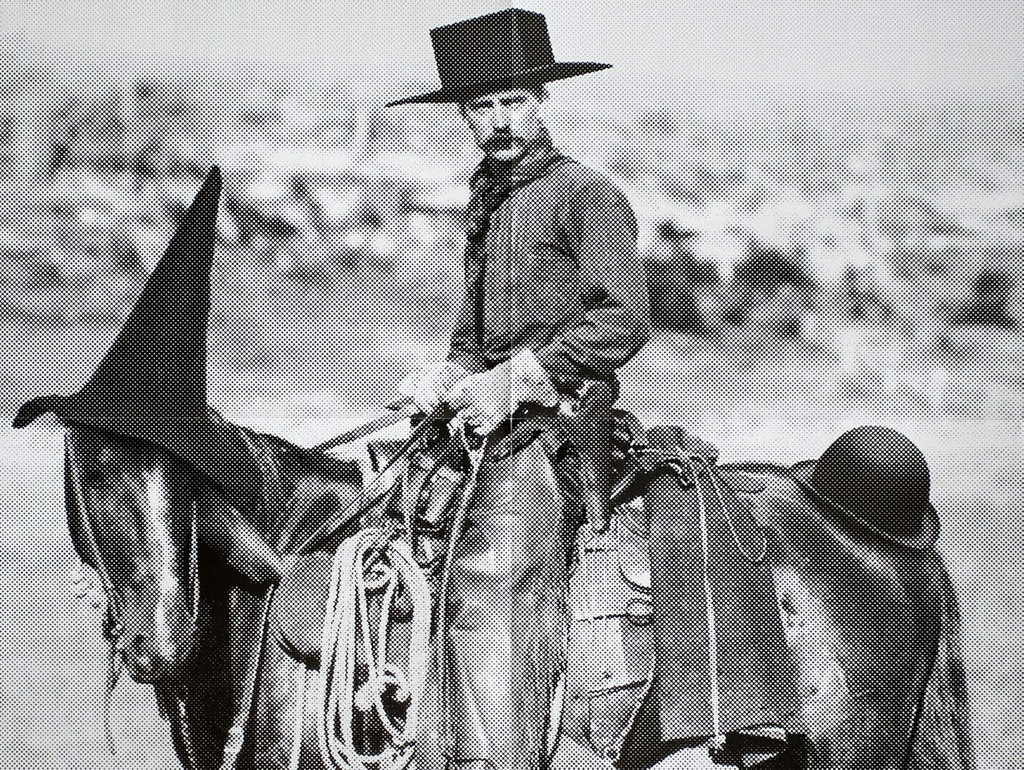 Dinamo Type Pareto 4 cowboy